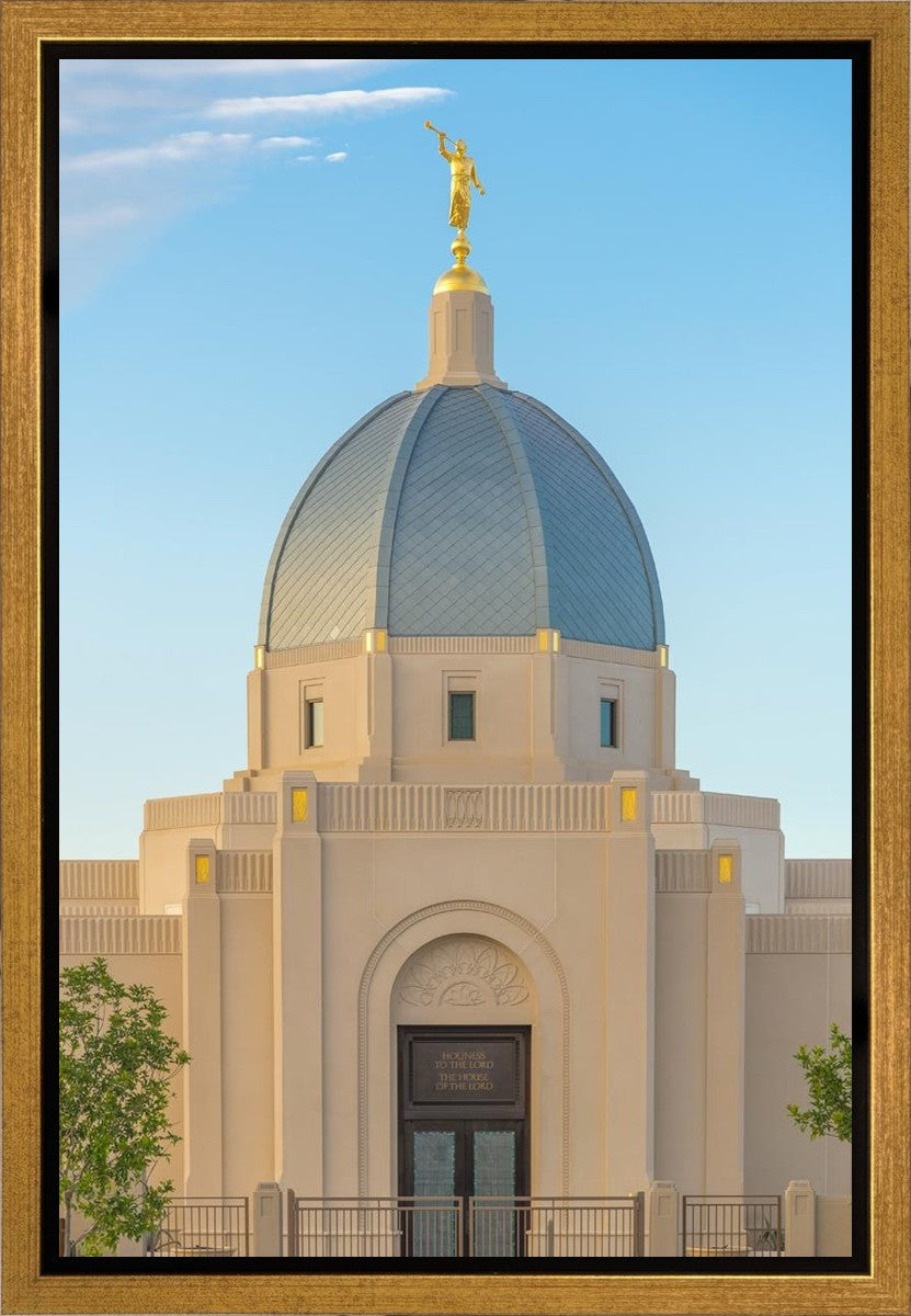 Tucson Morning Glory Gallery Wrap