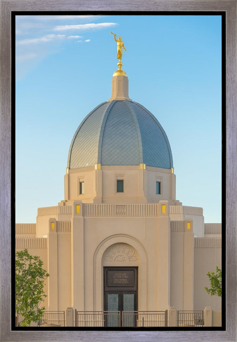 Tucson Morning Glory Gallery Wrap