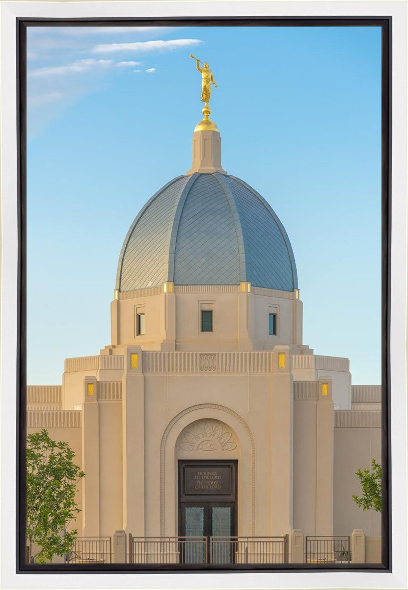 Tucson Morning Glory Gallery Wrap
