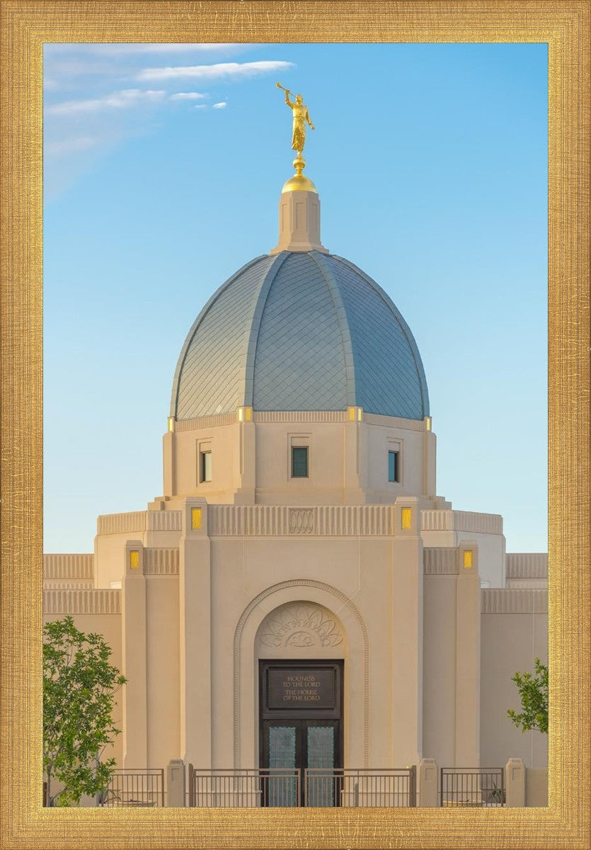 Tucson Morning Glory