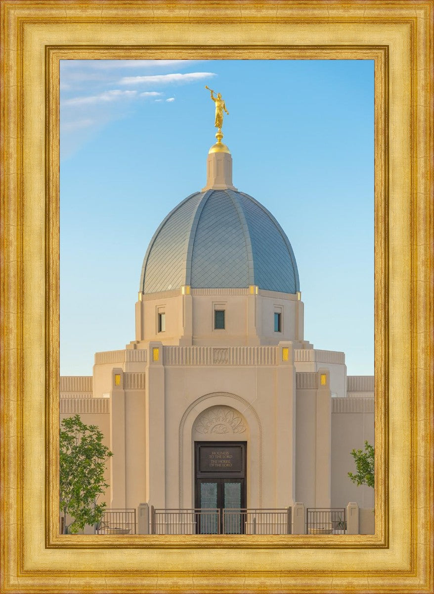 Tucson Morning Glory