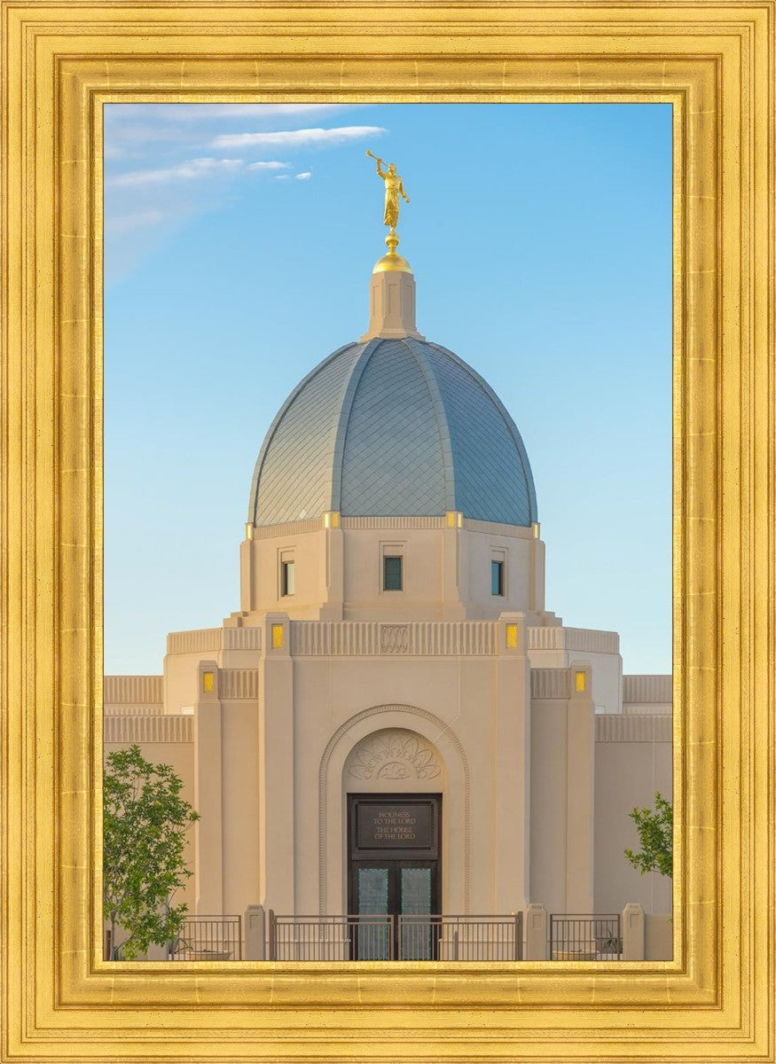 Tucson Morning Glory