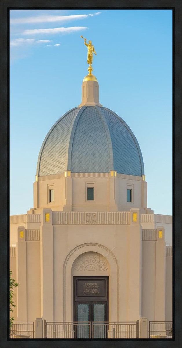 Tucson Morning Glory Gallery Wrap