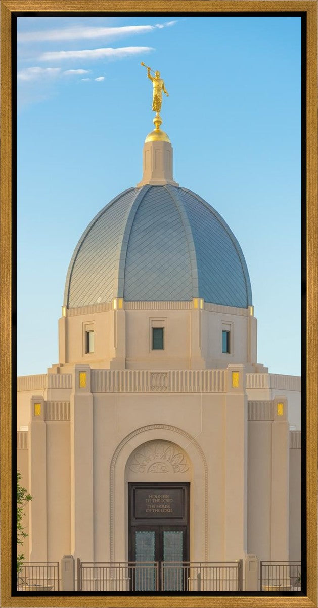 Tucson Morning Glory Gallery Wrap