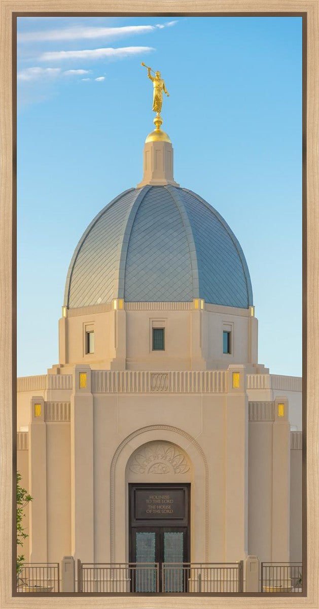 Tucson Morning Glory Gallery Wrap