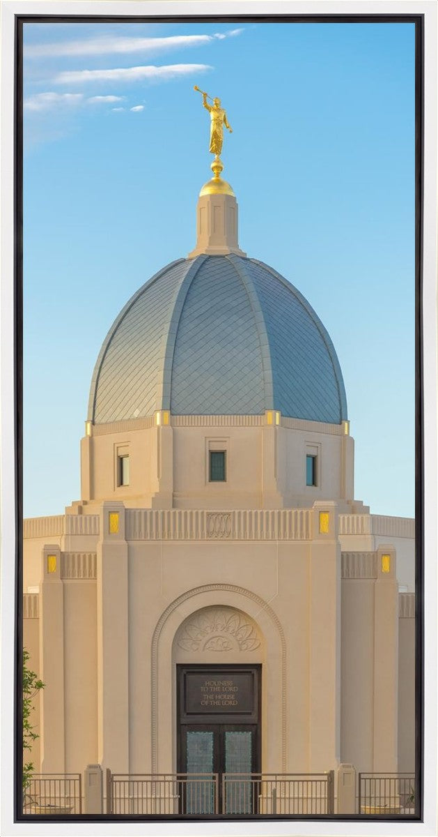 Tucson Morning Glory Gallery Wrap