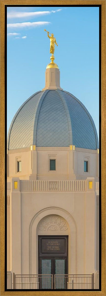 Tucson Morning Glory Gallery Wrap