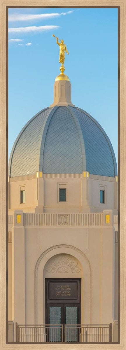 Tucson Morning Glory