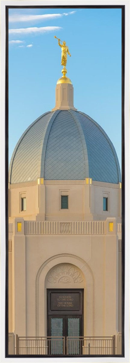 Tucson Morning Glory