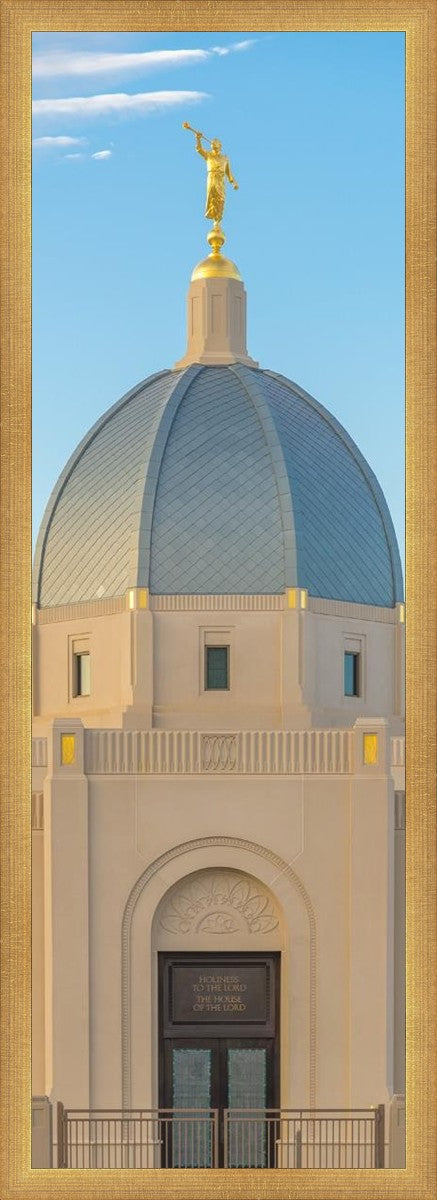 Tucson Morning Glory