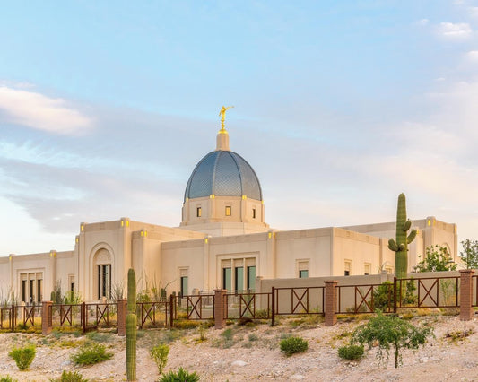 Tucson Peaceful Morning Gallery Wrap