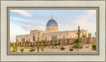 Tucson Peaceful Morning