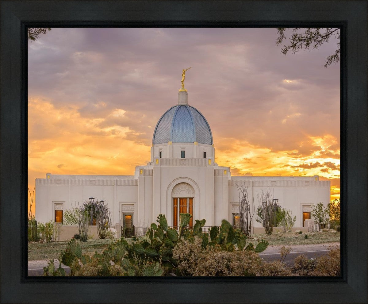 Tucson Valley of Fire Gallery Wrap