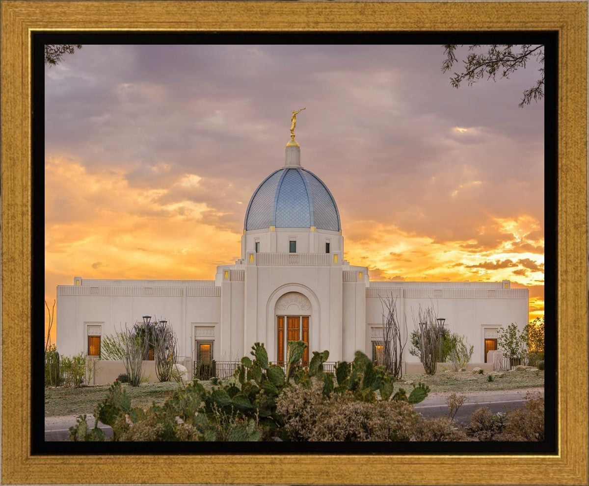 Tucson Valley of Fire Gallery Wrap