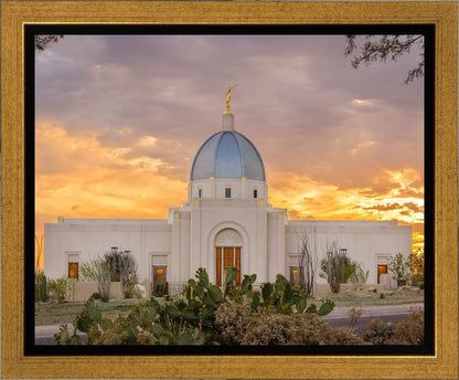 Tucson Valley of Fire Gallery Wrap