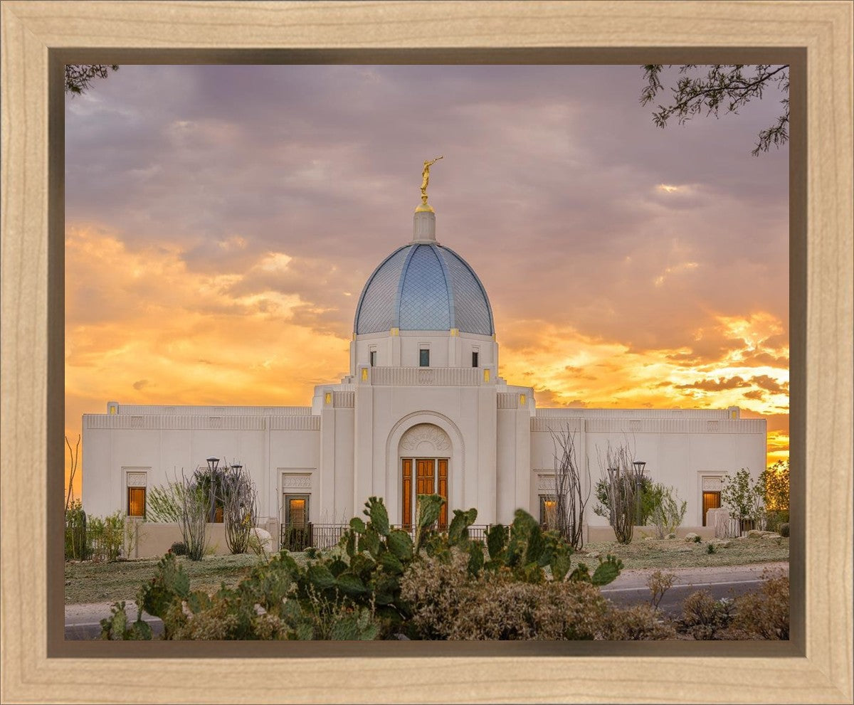 Tucson Valley of Fire Gallery Wrap