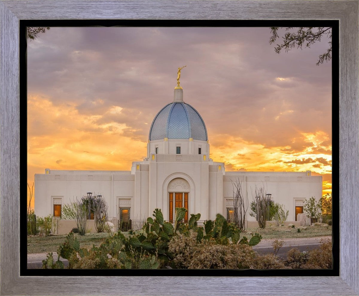 Tucson Valley of Fire Gallery Wrap