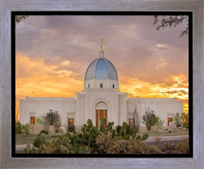 Tucson Valley of Fire Gallery Wrap