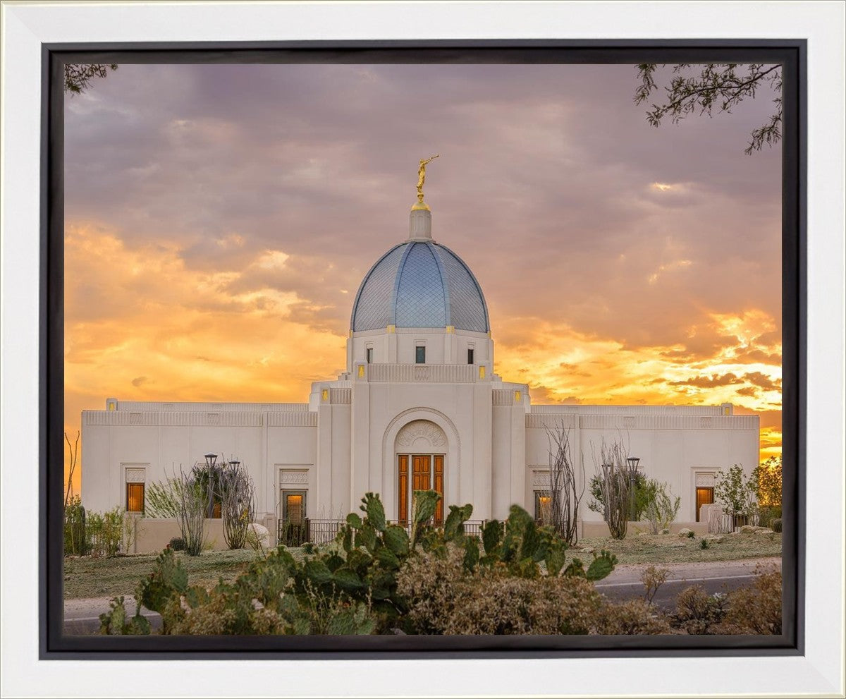 Tucson Valley of Fire Gallery Wrap