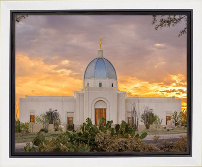 Tucson Valley of Fire Gallery Wrap