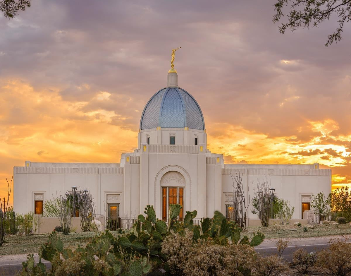 Tucson Valley of Fire Gallery Wrap