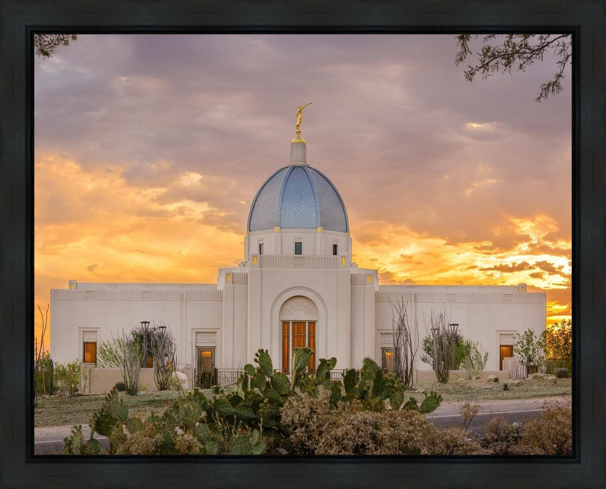 Tucson Valley of Fire Gallery Wrap