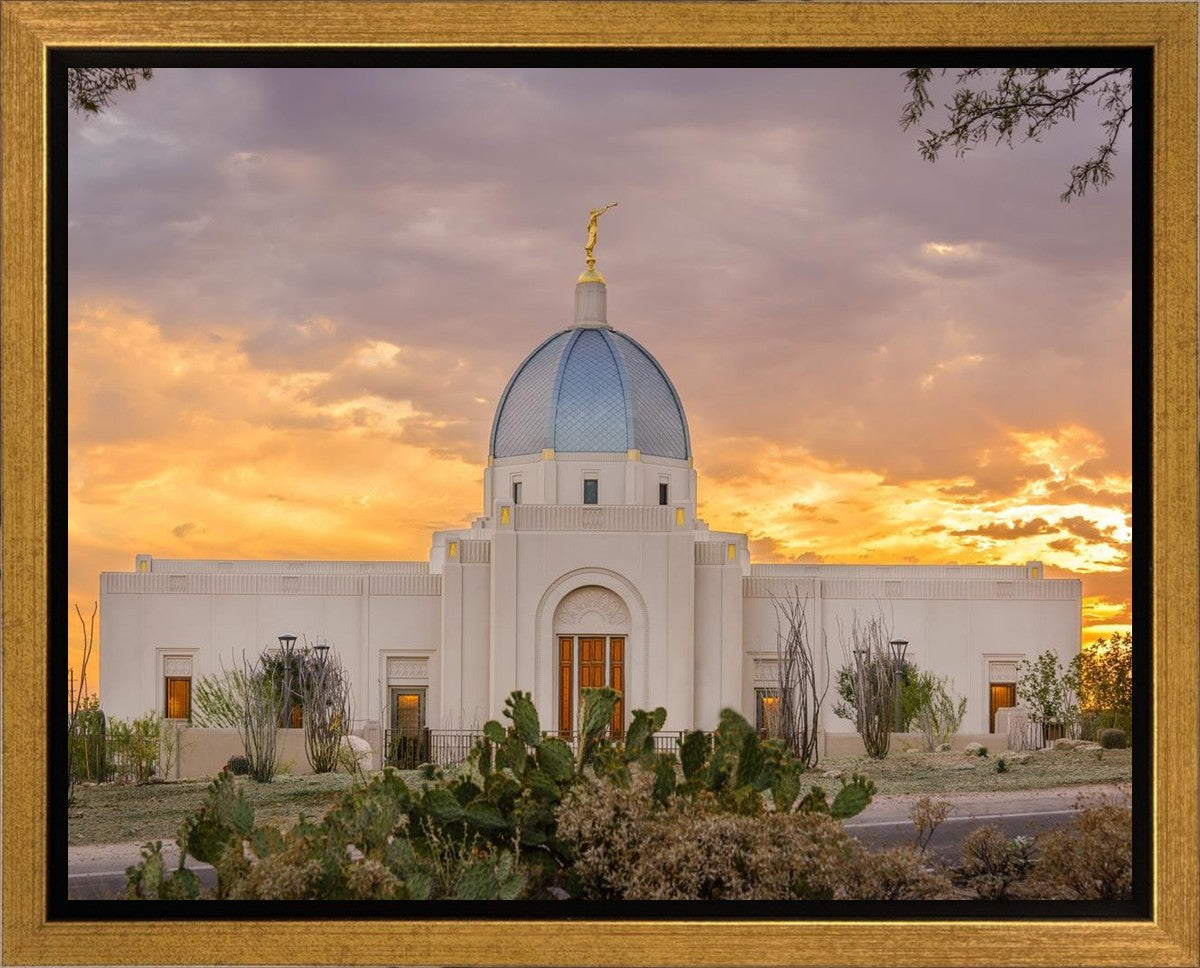 Tucson Valley of Fire Gallery Wrap
