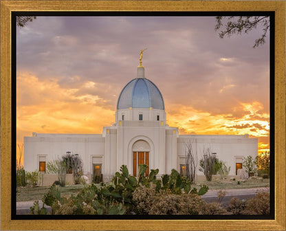 Tucson Valley of Fire Gallery Wrap