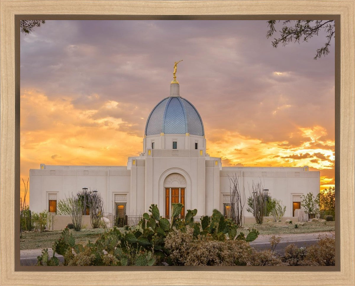 Tucson Valley of Fire Gallery Wrap