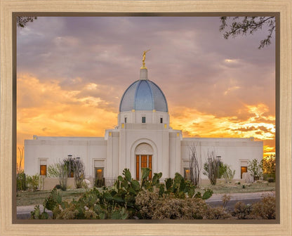 Tucson Valley of Fire Gallery Wrap