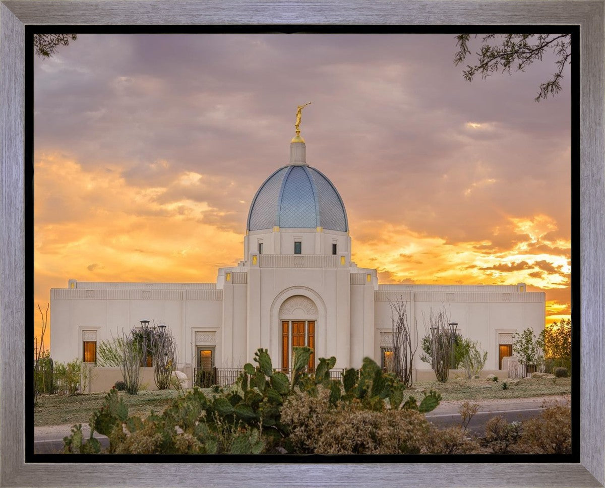 Tucson Valley of Fire Gallery Wrap