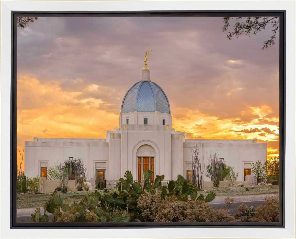 Tucson Valley of Fire Gallery Wrap