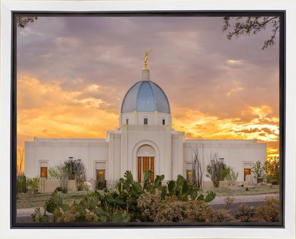 Tucson Valley of Fire Gallery Wrap
