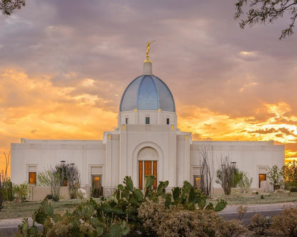 Tucson Valley of Fire Gallery Wrap