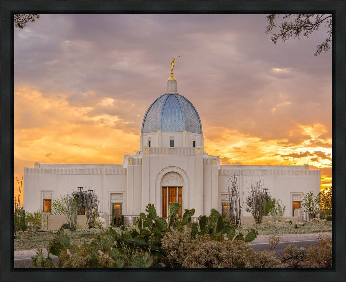 Tucson Valley of Fire Gallery Wrap