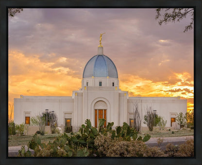 Tucson Valley of Fire Gallery Wrap