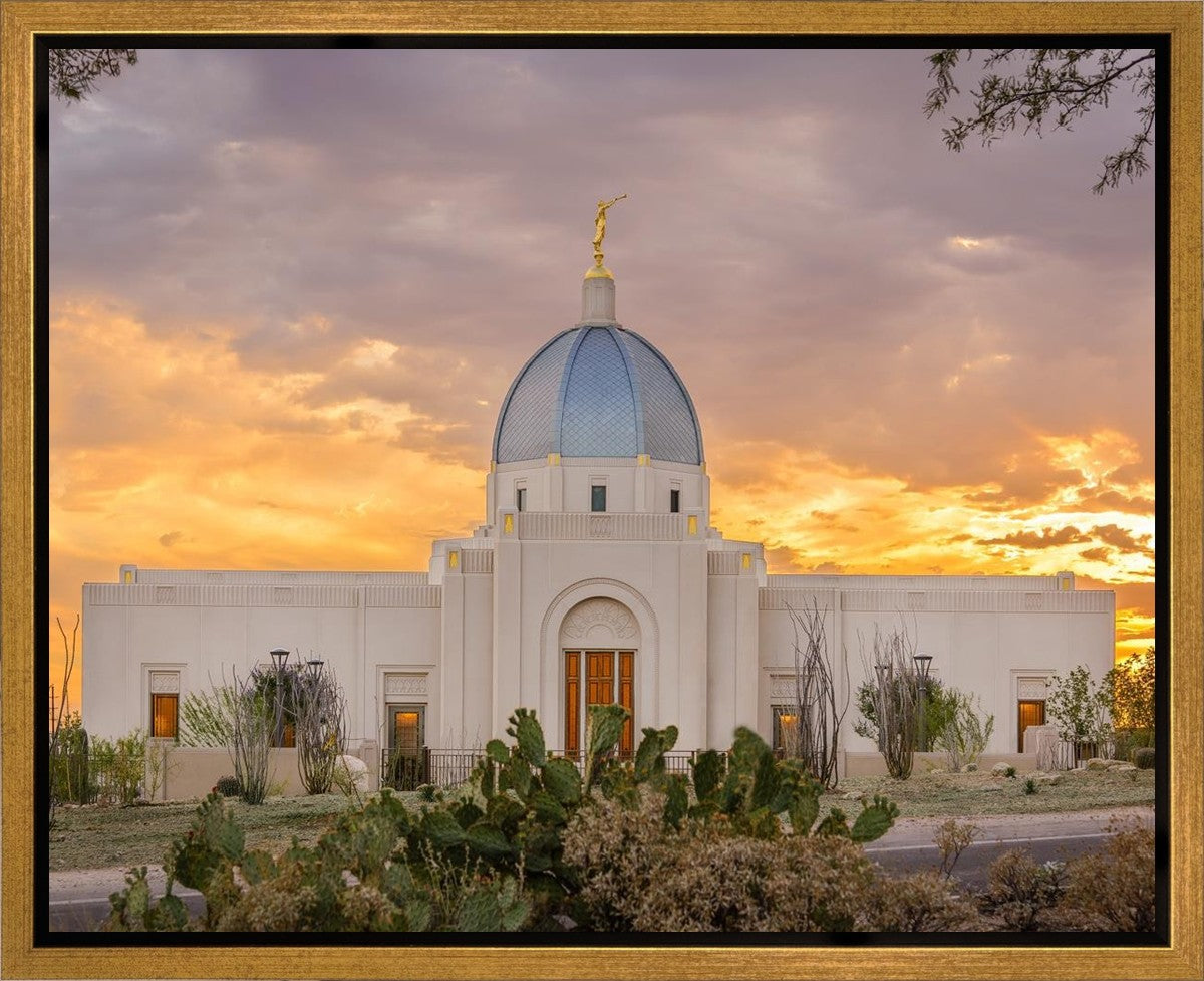 Tucson Valley of Fire Gallery Wrap