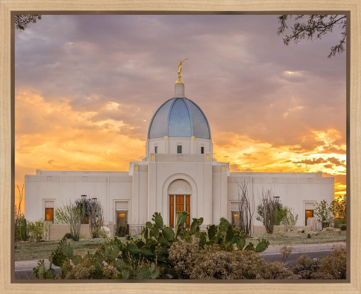 Tucson Valley of Fire Gallery Wrap