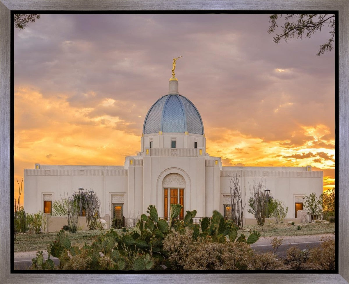 Tucson Valley of Fire Gallery Wrap