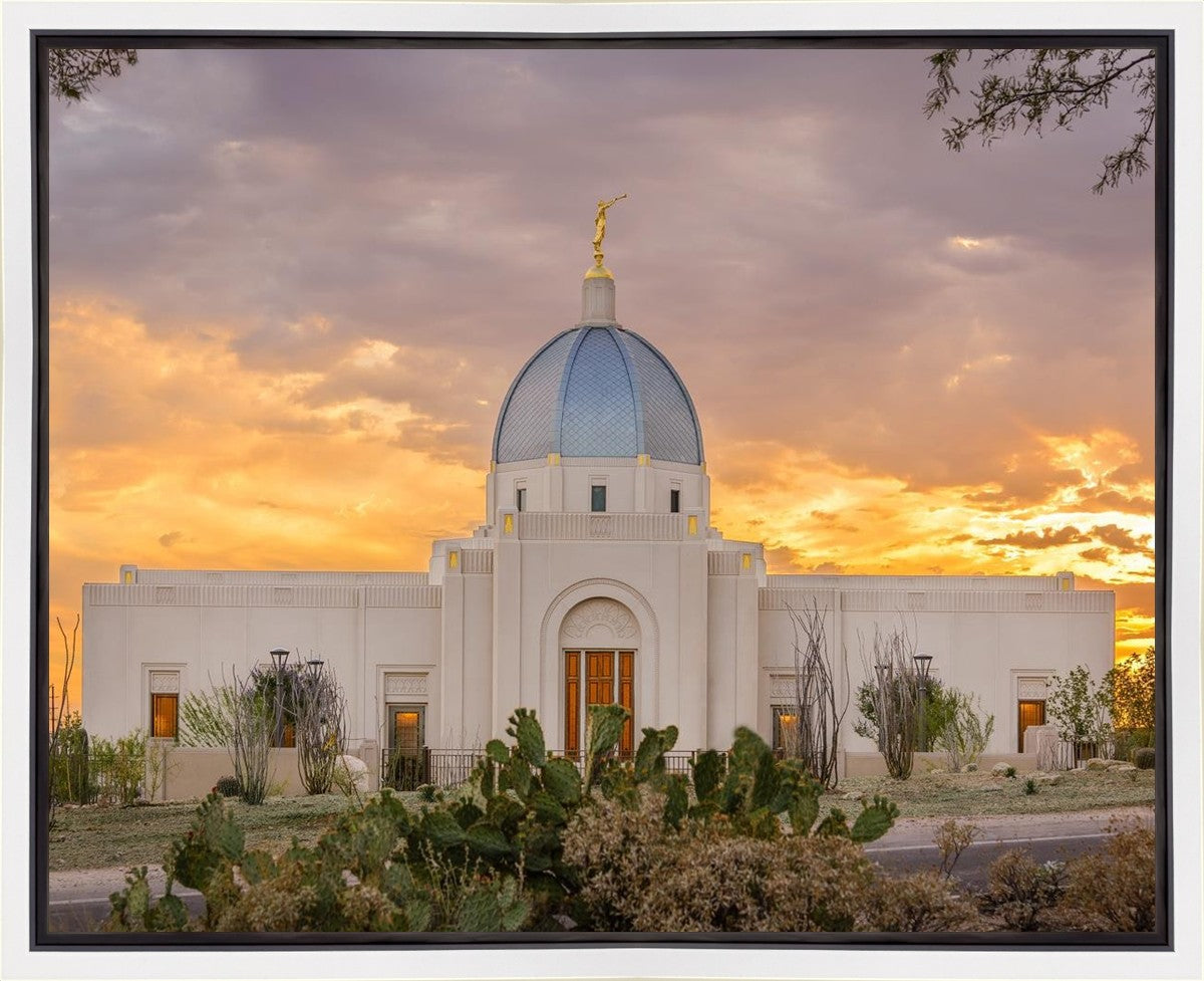 Tucson Valley of Fire Gallery Wrap