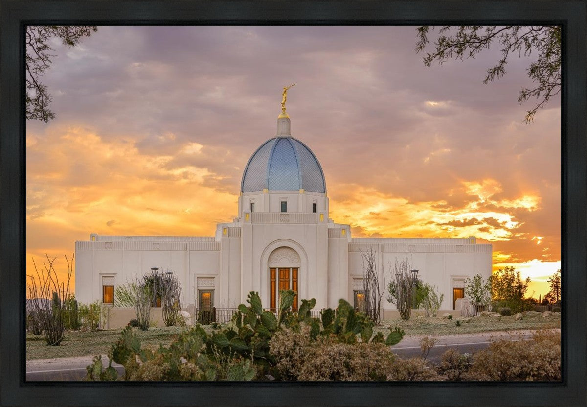 Tucson Valley of Fire Gallery Wrap