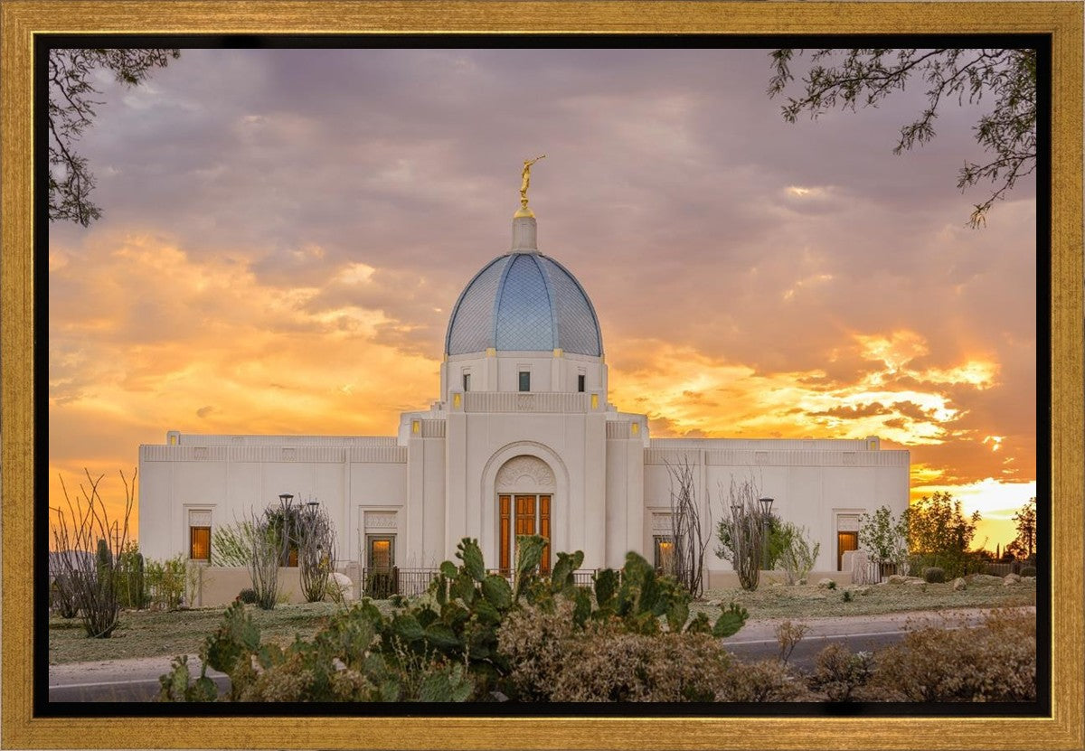 Tucson Valley of Fire Gallery Wrap
