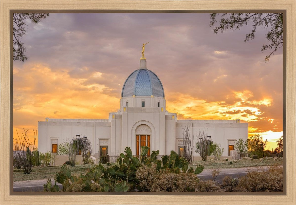 Tucson Valley of Fire Gallery Wrap