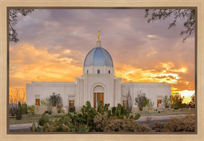 Tucson Valley of Fire Gallery Wrap