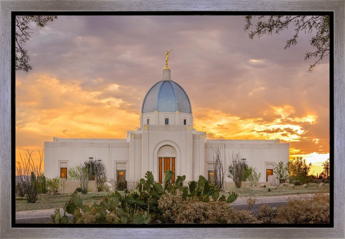 Tucson Valley of Fire Gallery Wrap