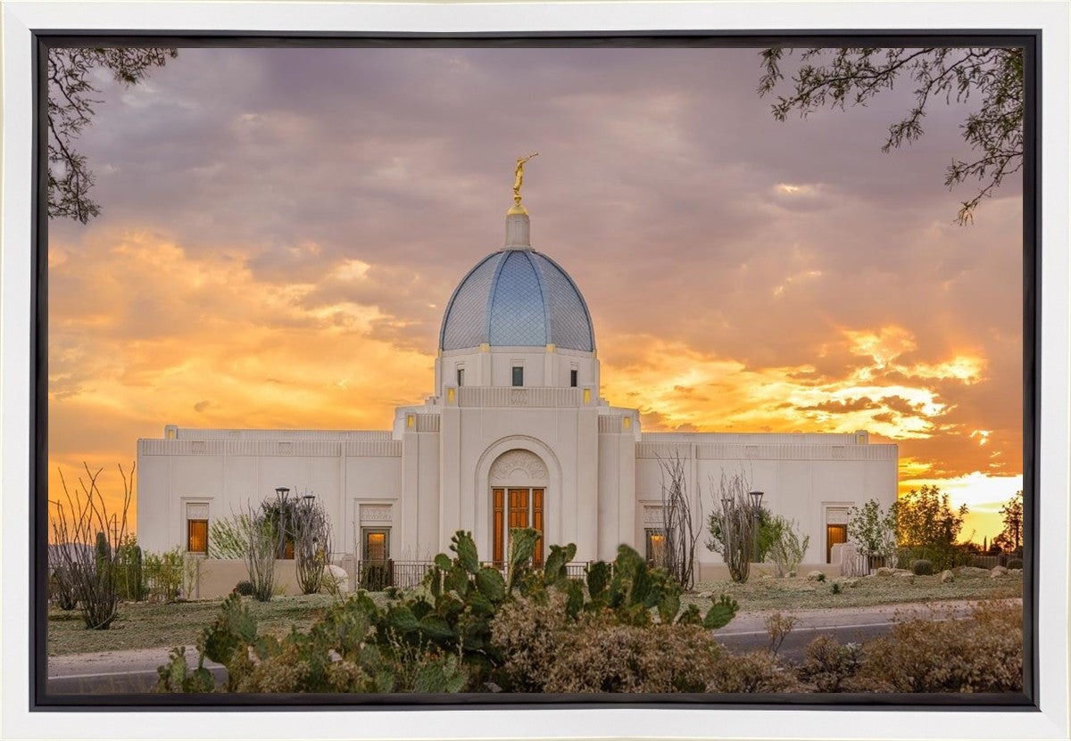 Tucson Valley of Fire Gallery Wrap