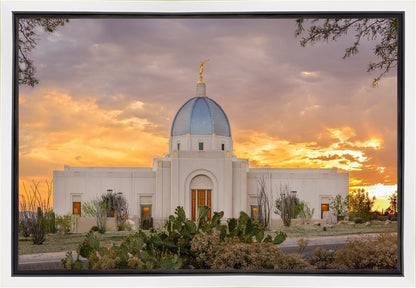 Tucson Valley of Fire Gallery Wrap