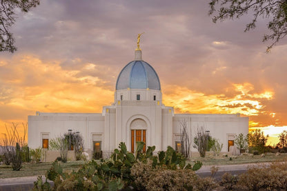 Tucson Valley of Fire Gallery Wrap