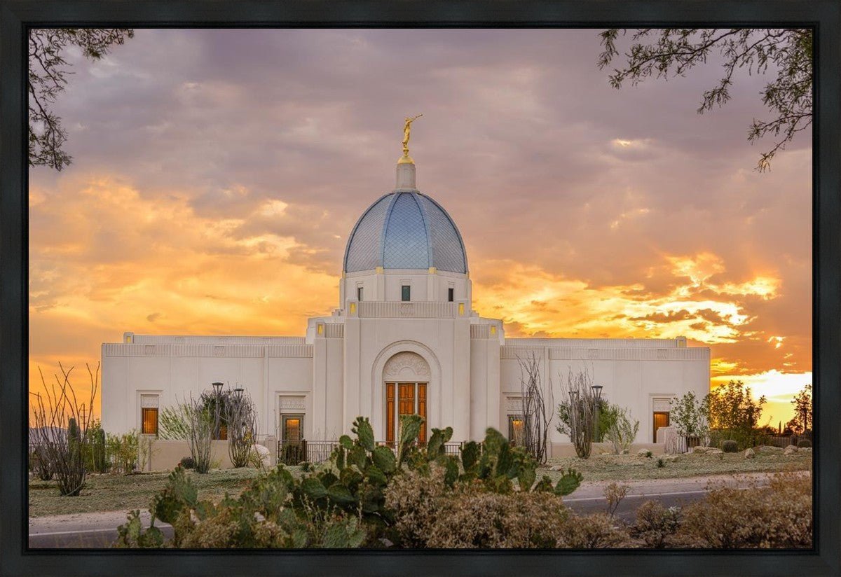 Tucson Valley of Fire Gallery Wrap