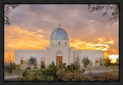 Tucson Valley of Fire Gallery Wrap